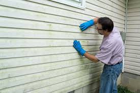 Affordable Siding Repair and Maintenance Services in Westphalia, MD